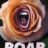 Roar : 1.Sezon 7.Bölüm izle