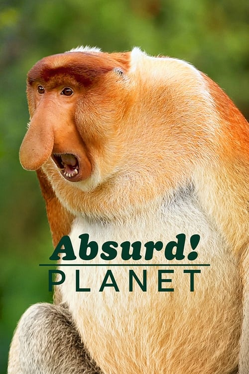 Absurd Planet : 1.Sezon 12.Bölüm